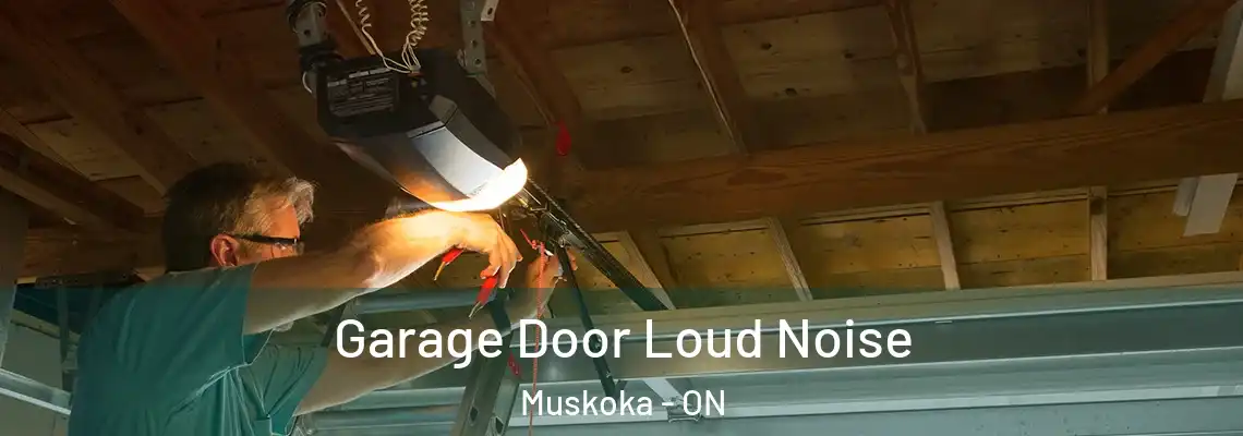 Garage Door Loud Noise Muskoka - ON