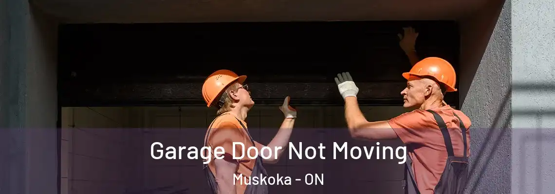 Garage Door Not Moving Muskoka - ON