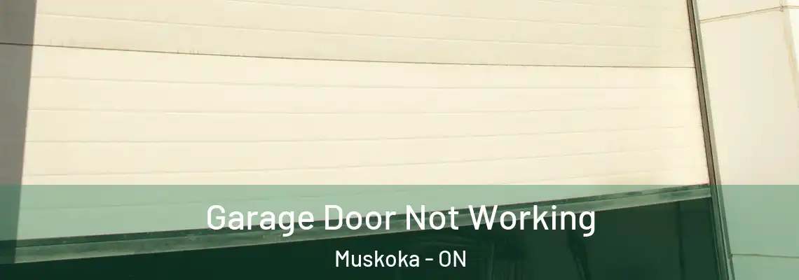 Garage Door Not Working Muskoka - ON