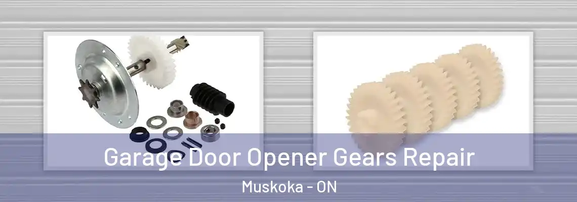 Garage Door Opener Gears Repair Muskoka - ON