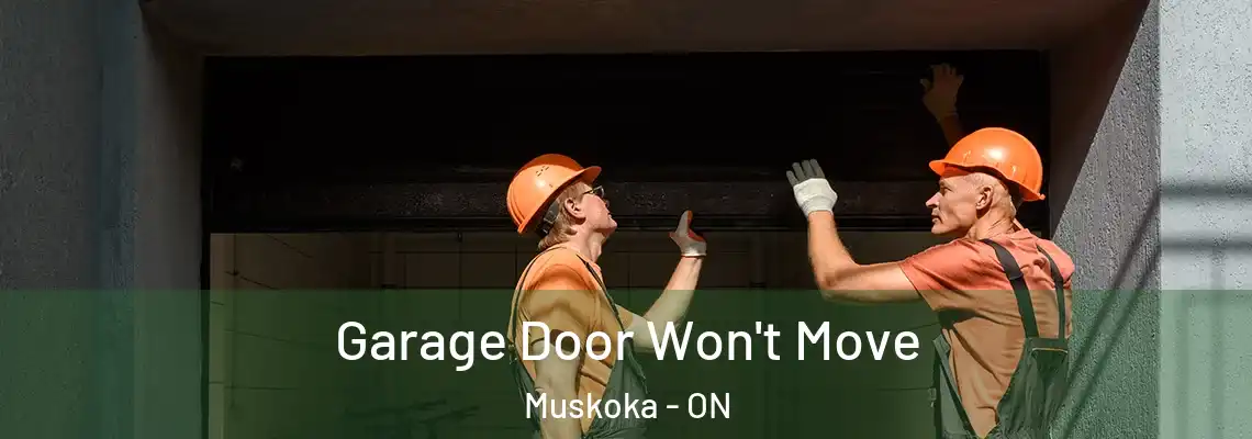Garage Door Won't Move Muskoka - ON