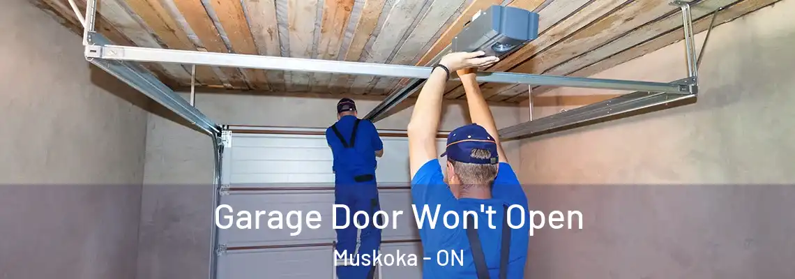 Garage Door Won't Open Muskoka - ON